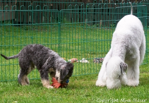 Svet & Alanus 05062006-1.jpg - ASCII